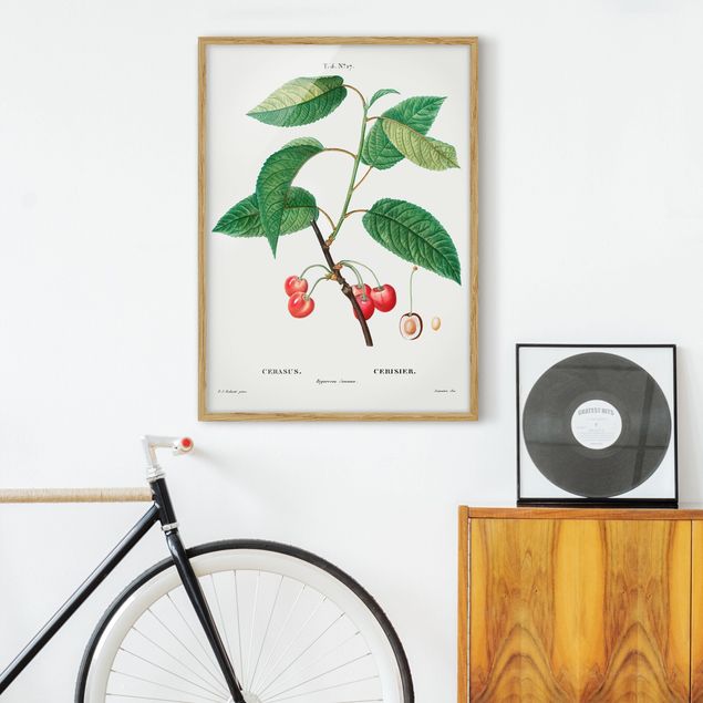 Poster con cornice - Illustrazione botanica rosso dell'annata Ciliegie - Verticale 4:3