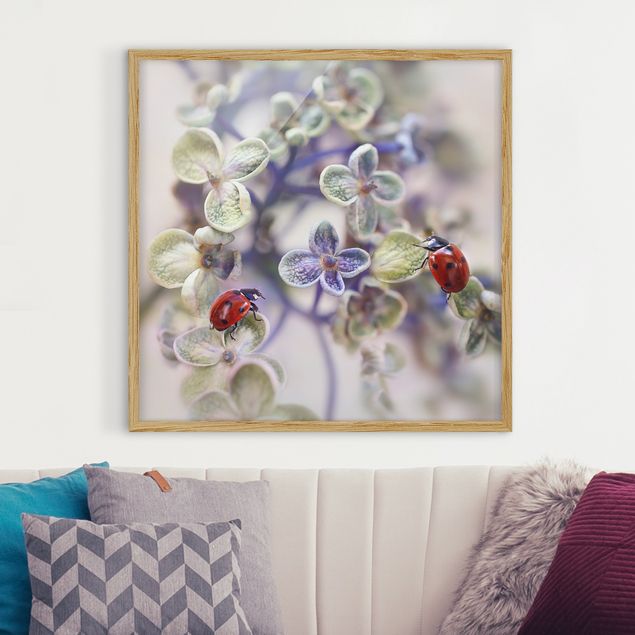 Poster con cornice - Ladybug In The Garden - Quadrato 1:1