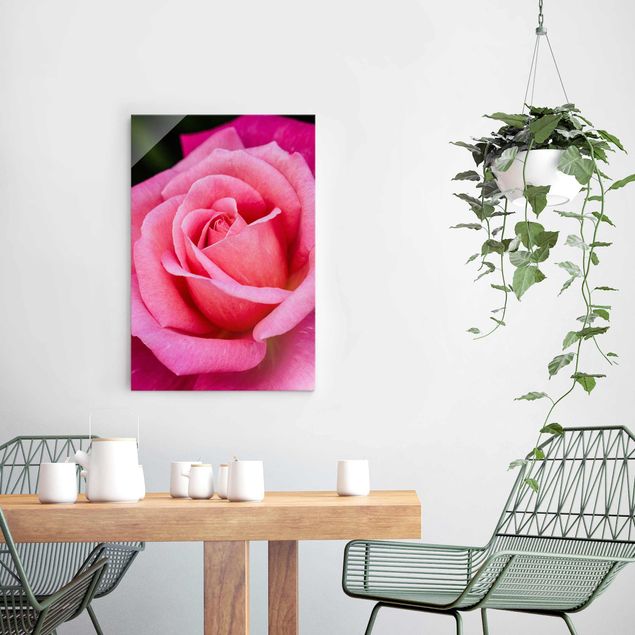 Quadro in vetro Pink Rose Bloom di fronte al verde verticale 3:4 su