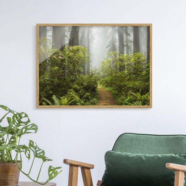 Poster con cornice - Misty Forest Path - Orizzontale 3:4