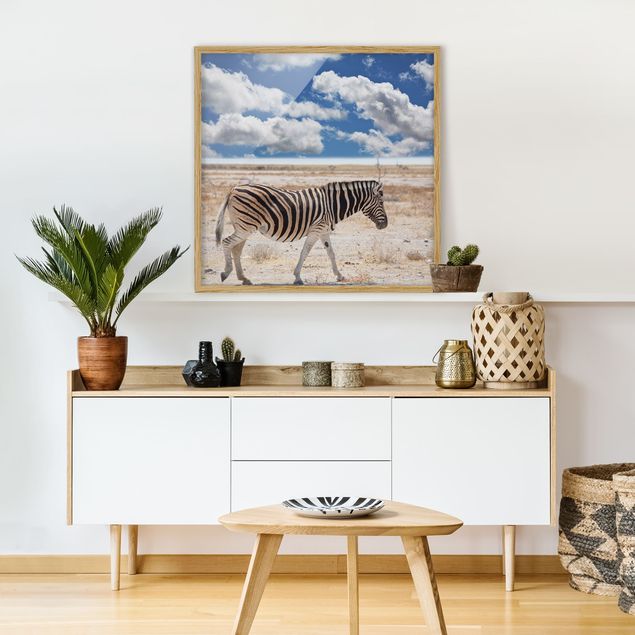 Poster con cornice - Zebra In The Savannah - Quadrato 1:1