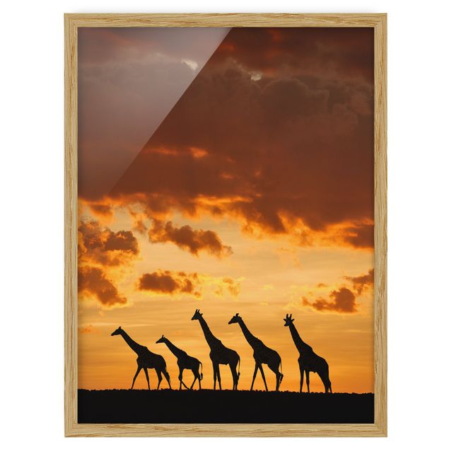 Poster con cornice - Five Giraffes - Verticale 4:3
