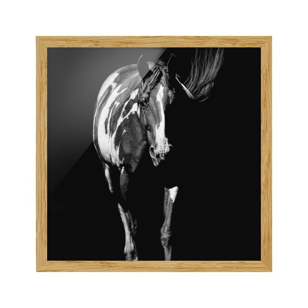 Poster con cornice - Horse In The Dark - Quadrato 1:1