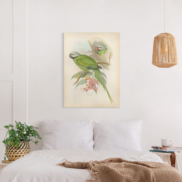 Quadri su tela fiori Illustrazione vintage Uccelli tropicali II