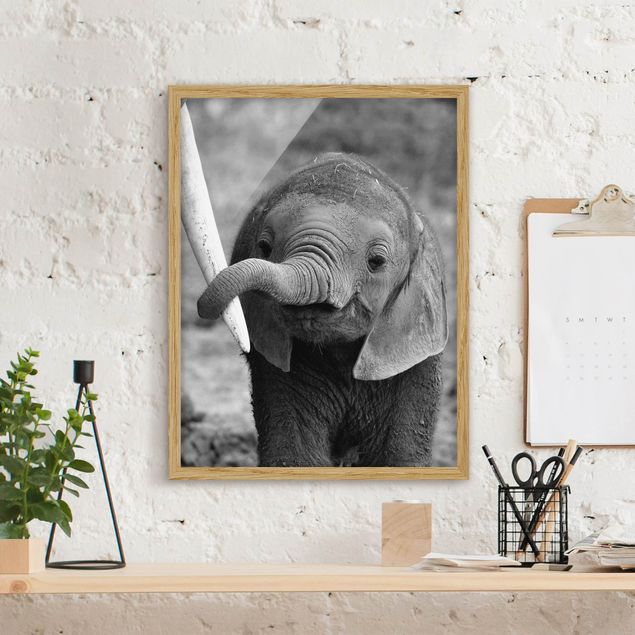 Poster con cornice - Baby Elephant - Verticale 4:3