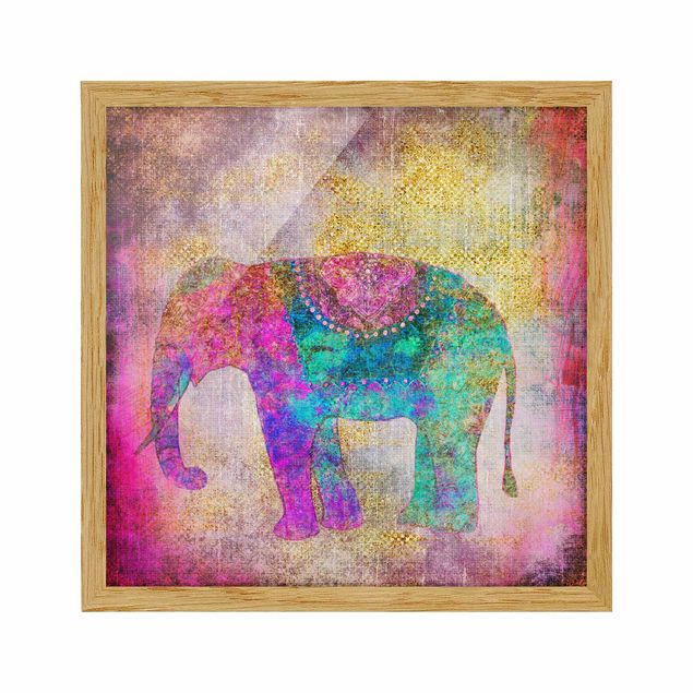 Poster con cornice - Colorato collage - Elefante indiano - Quadrato 1:1