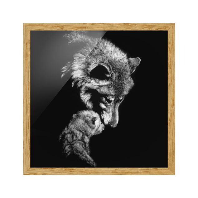 Poster con cornice - Wolf In The Dark - Quadrato 1:1