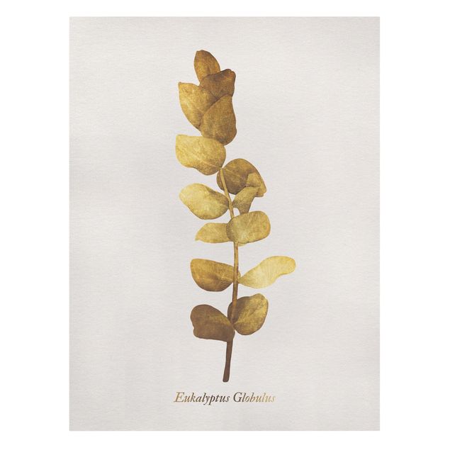 Quadri su tela - Gold - Eucalyptus