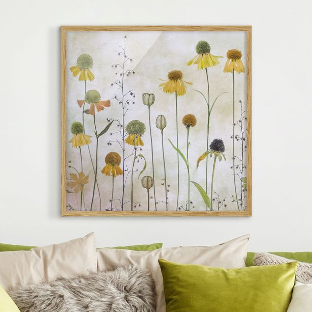 Poster con cornice - Gentle Helenium Blossoms - Quadrato 1:1