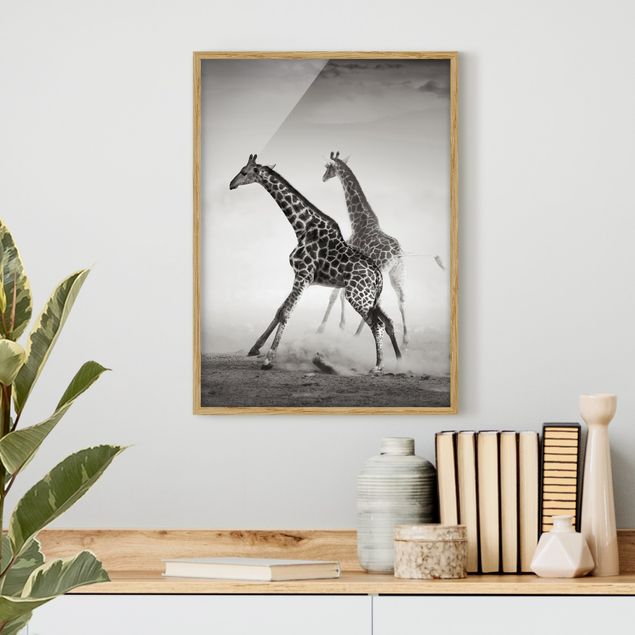 quadri con animali Giraffe a caccia
