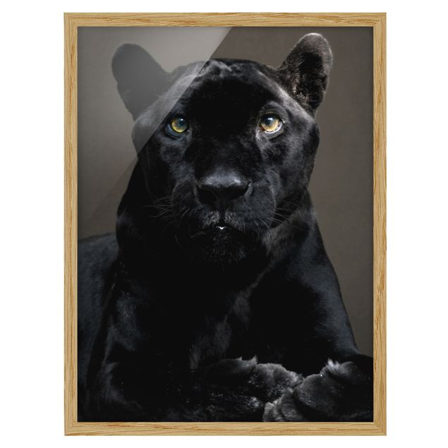 Poster con cornice - Black Puma - Verticale 4:3