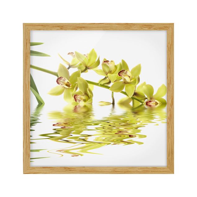 Poster con cornice - Elegant Orchid Waters