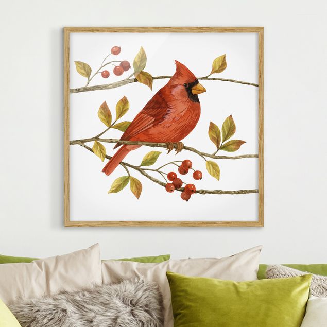 Poster con cornice - Birds And Berries - Northern Cardinal - Quadrato 1:1