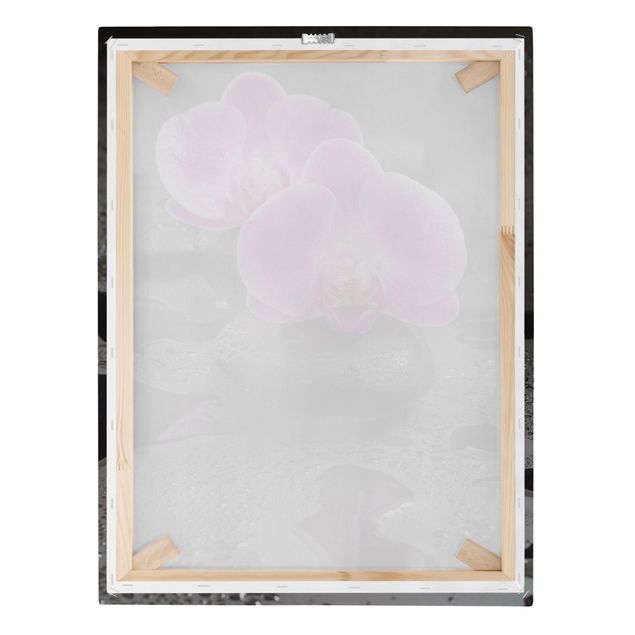 Stampa su tela - Pink Orchid Fiori Sulle Pietre Con Le Gocce - Verticale 4:3