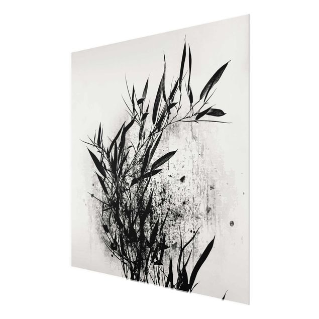 Quadro in vetro - Mondo vegetale grafico - Bambú nero - Quadrato 1:1