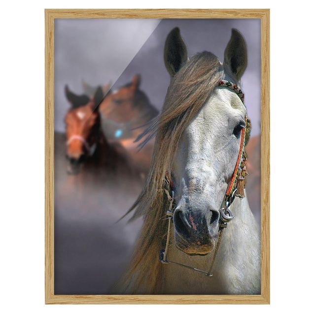 Poster con cornice - Horses In The Dust - Verticale 4:3