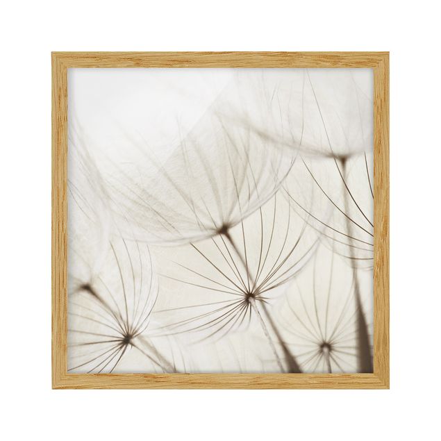 Poster con cornice - Gentle Grasses - Quadrato 1:1