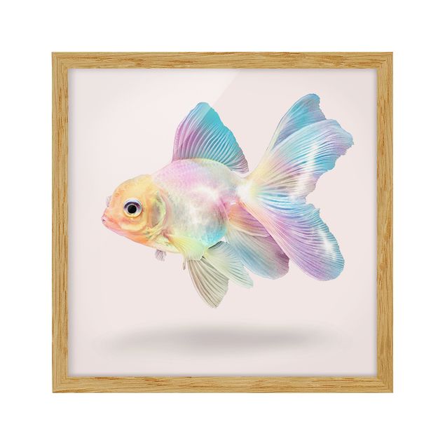 Poster con cornice - Pesce In Pastel - Quadrato 1:1