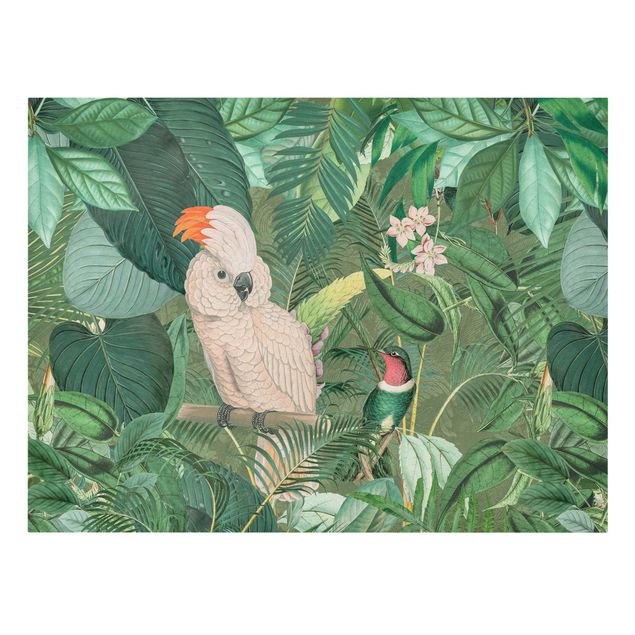 Stampe su tela vintage Collage vintage - Cacatua e colibrì