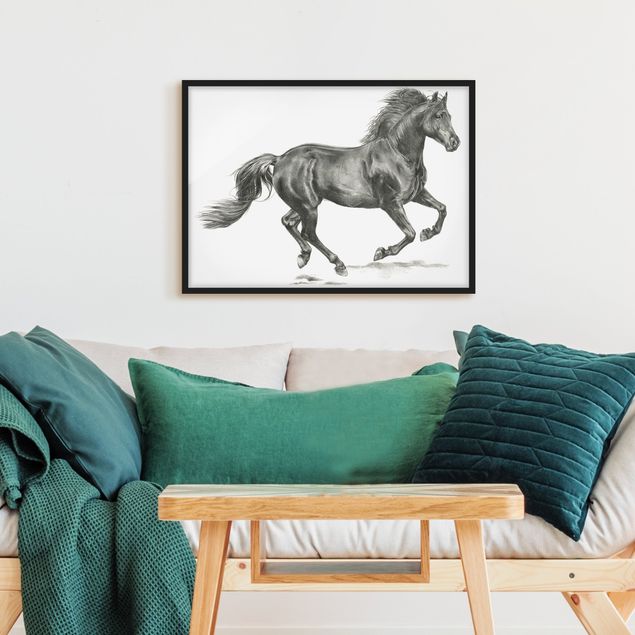 Poster con cornice - processo Wild horse - Stallion