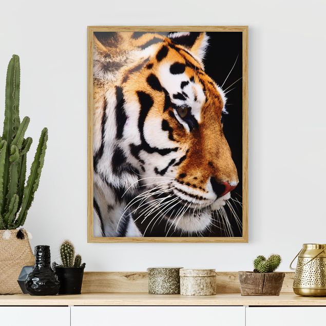 quadri con animali Bellezza della tigre