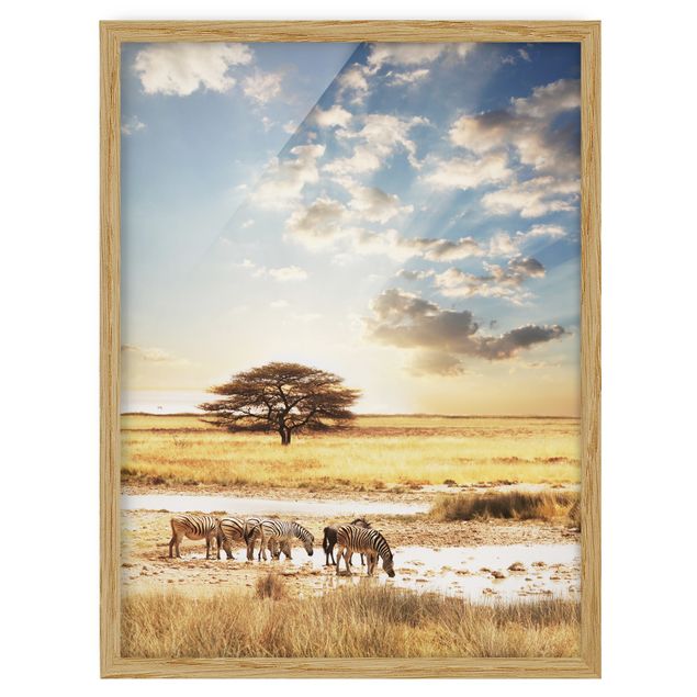 Poster con cornice - The Lives Of Zebras - Verticale 4:3