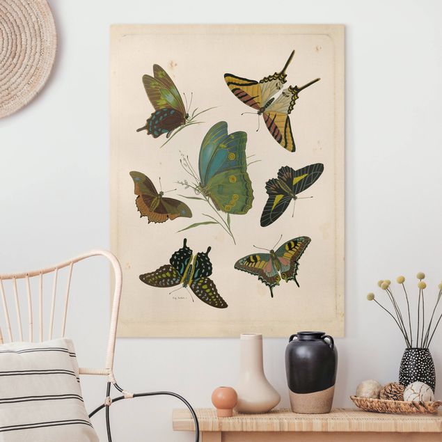 Quadri con farfalle Illustrazione vintage Farfalle esotiche