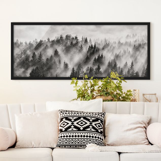 Poster con cornice - Raggi Luce nella foresta di conifere - Panorama formato orizzontale