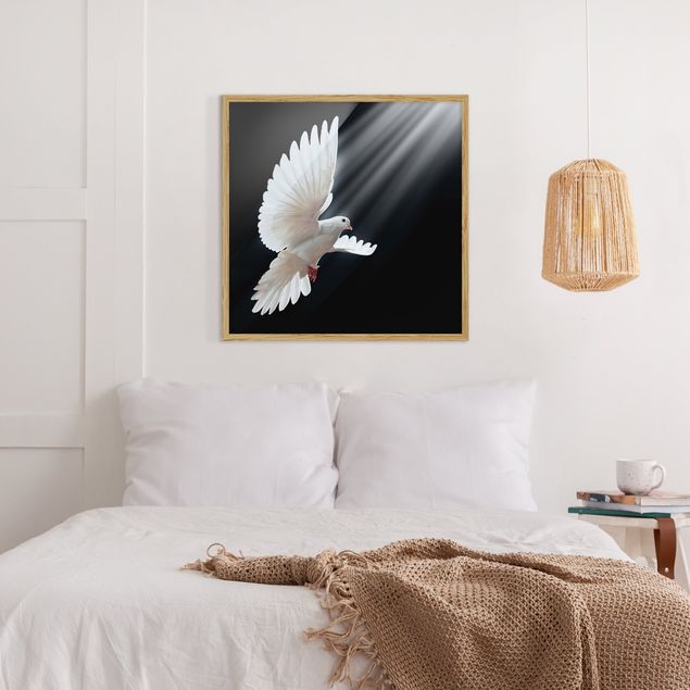 Poster con cornice - Holy Dove - Quadrato 1:1