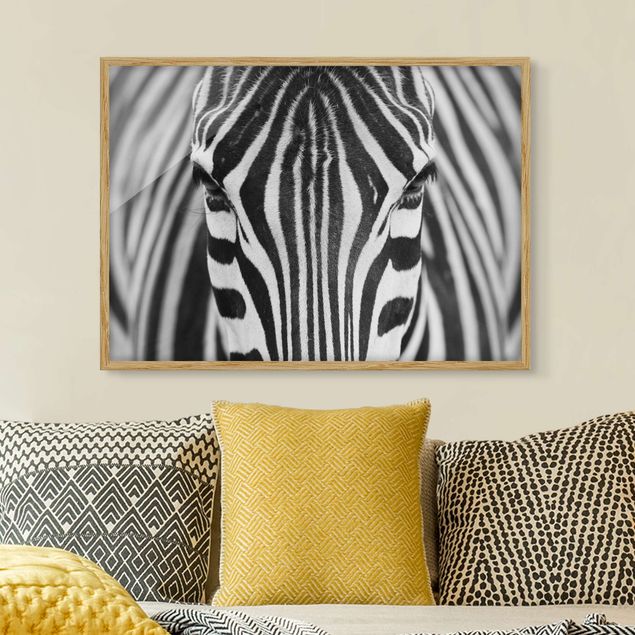 quadri con animali Sguardo da zebra