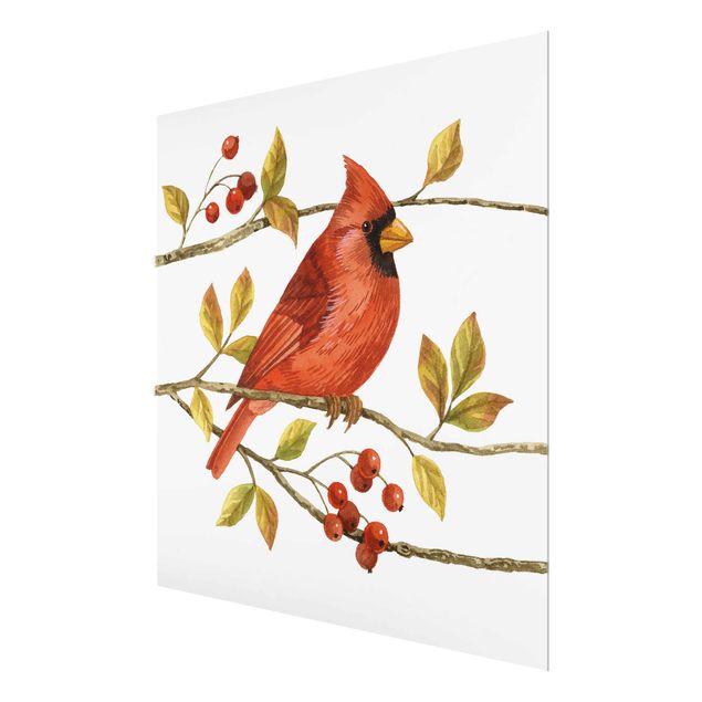 Quadro in vetro - Birds And Berries - Northern Cardinal - Quadrato 1:1