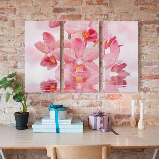 Stampe su tela fiori Orchidea rosa chiaro sull'acqua