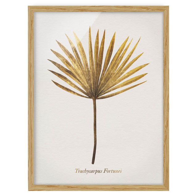 Poster con cornice - Gold - Foglia di palma