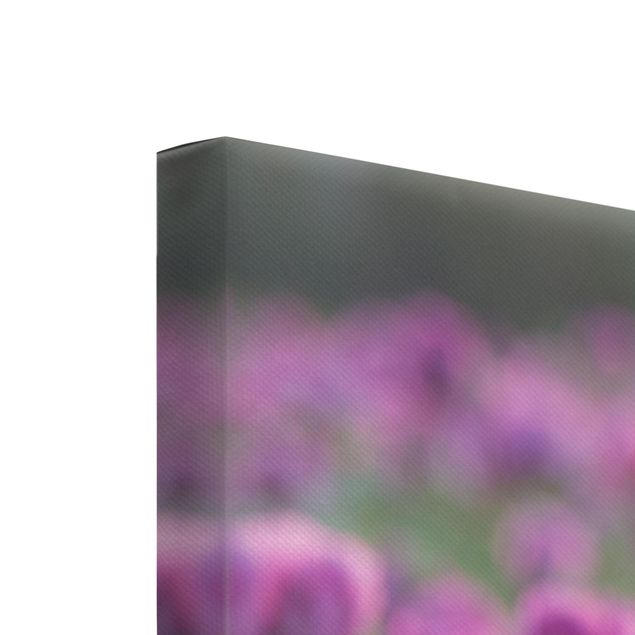 Stampa su tela 3 parti - Purple Poppy Flower Meadow In Spring - Verticale 2:1