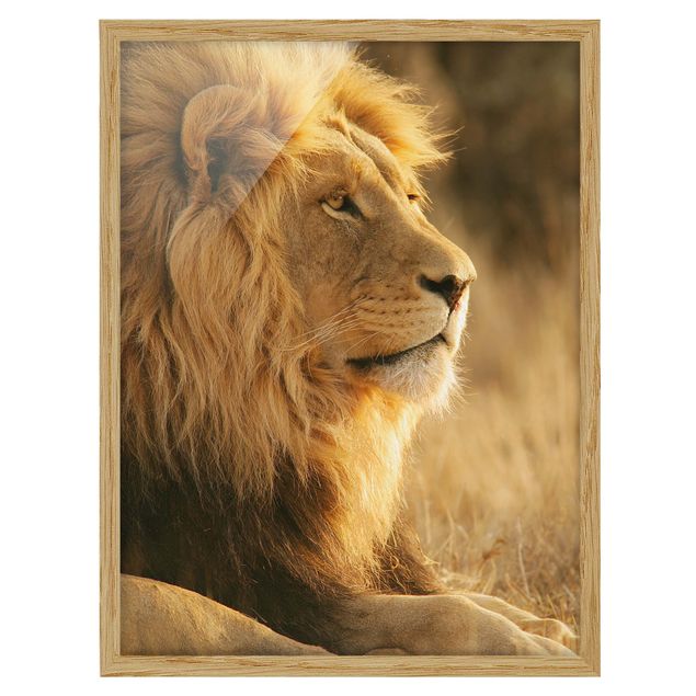 Poster con cornice - Lion King - Verticale 4:3