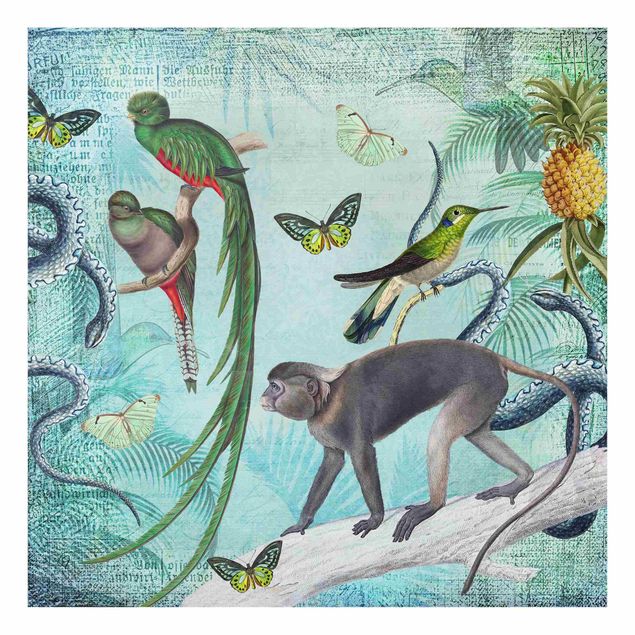 Quadro in vetro - Coloniale Collage - Scimmie e uccelli del paradiso - Quadrato 1:1