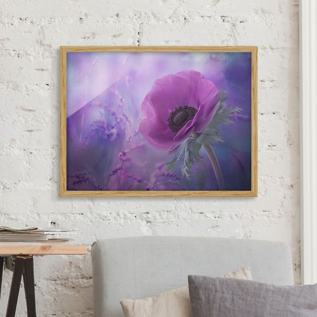 Poster con cornice - Anemones Bloom In Violet - Orizzontale 3:4