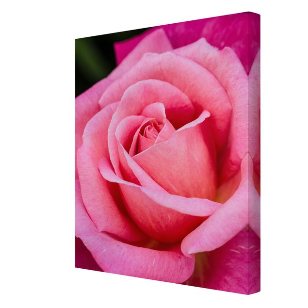 Stampa su tela - Pink Rose Bloom di fronte al verde - Verticale 4:3
