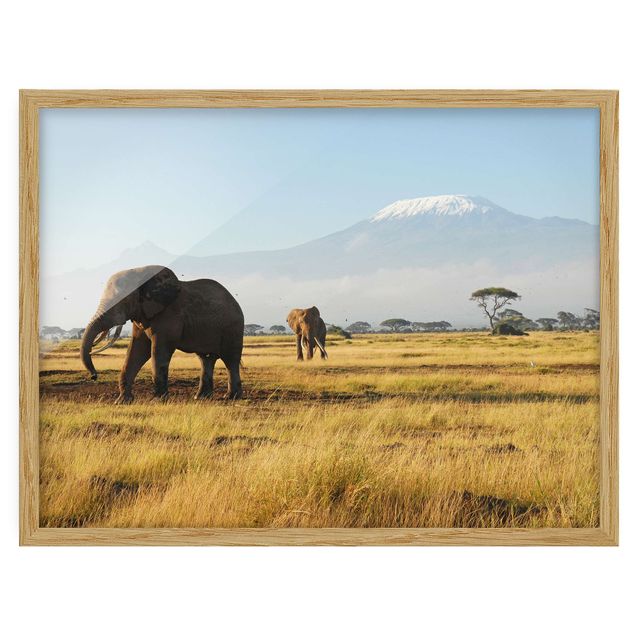 Poster con cornice - Elephants In Front Of The Kilimanjaro In Kenya - Orizzontale 3:4