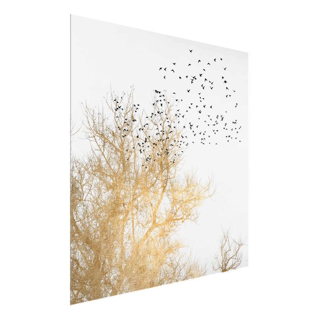 Quadro in vetro - Stormo di uccelli davanti ad un albero dorato - Quadrato 1:1