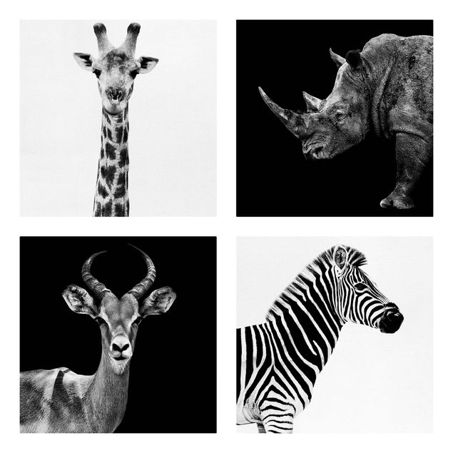 Stampe su tela animali Quartetto di safari