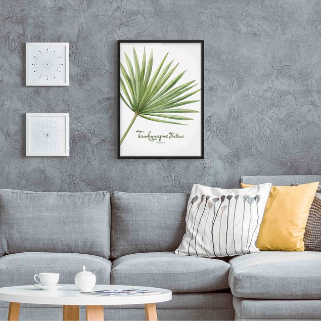 Poster con cornice - Watercolor Botany Trachycarpus Fortunei - Verticale 4:3