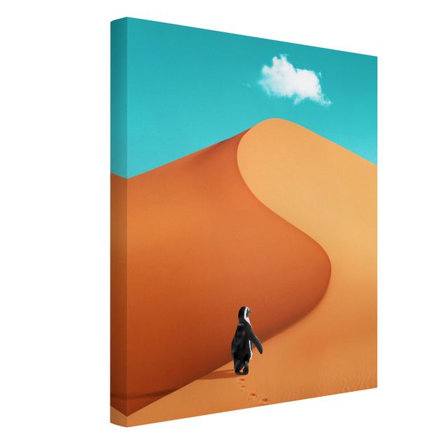Stampe su tela paesaggio Deserto con pinguino