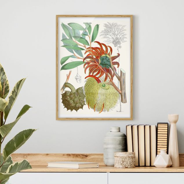 Poster con cornice - Illustrazione Vintage Tropical Flowers II - Verticale 4:3