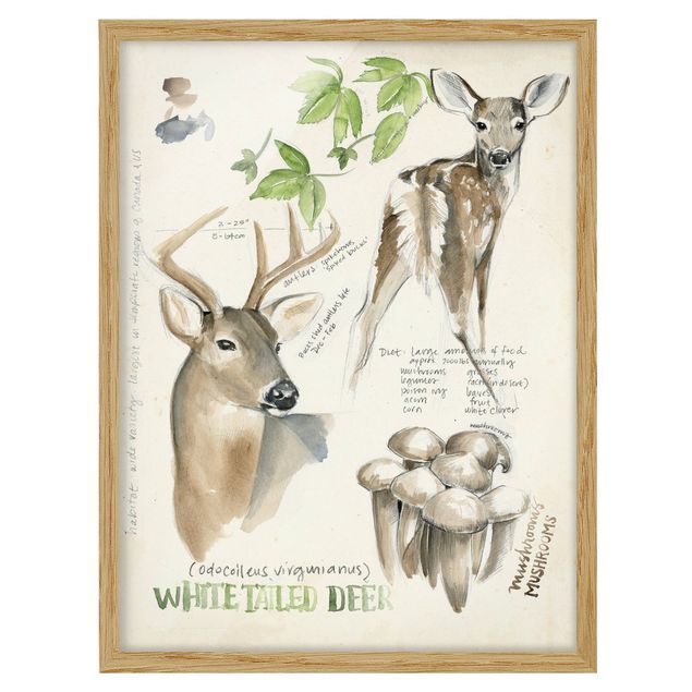 Poster con cornice - Wilderness Journal - Hirsch - Verticale 4:3