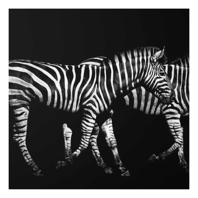 Quadro in vetro - Zebra In The Dark - Quadrato 1:1