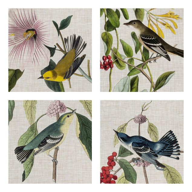Riproduzioni su tela quadri famosi Uccelli su lino - Set II