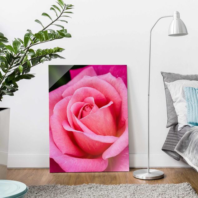 Quadro in vetro - Pink Rose Bloom di fronte al verde - Verticale 4:3