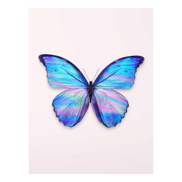 Quadro in vetro - Holographic farfalla - Verticale 4:3