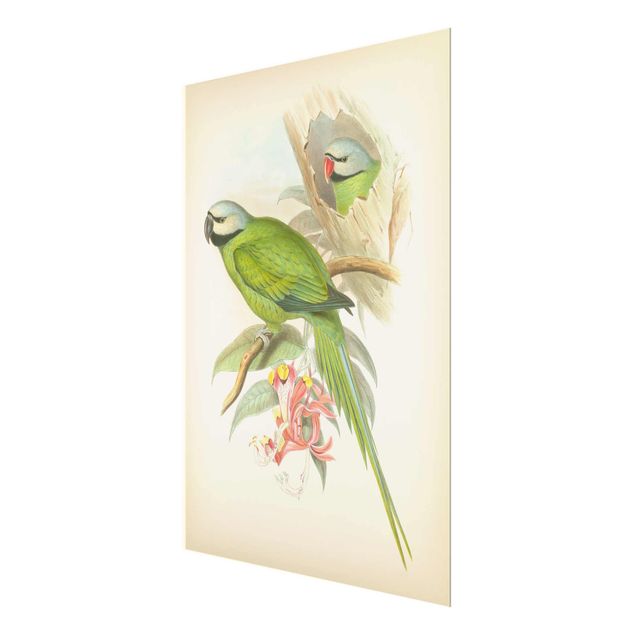 Quadro in vetro - Illustrazione Vintage Tropical Birds II - Verticale 4:3